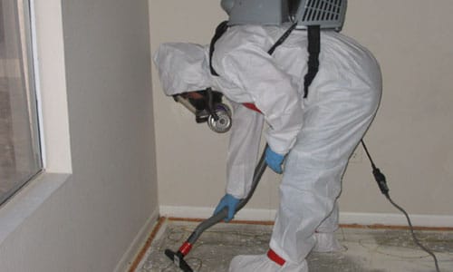 High Point Mold Removal